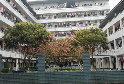 重庆卫校招生网实训环境